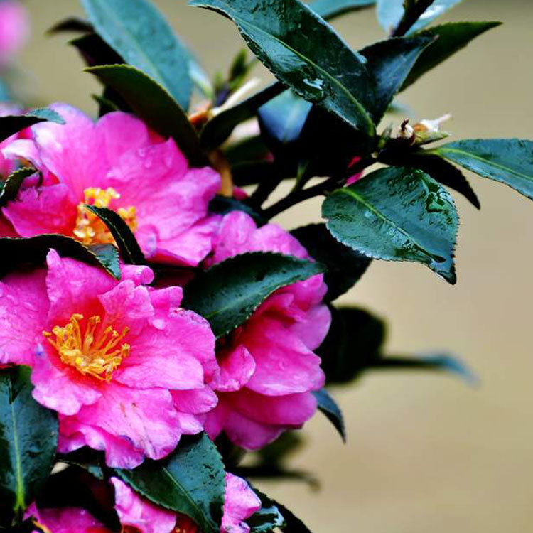 微信圖片_20170617170931