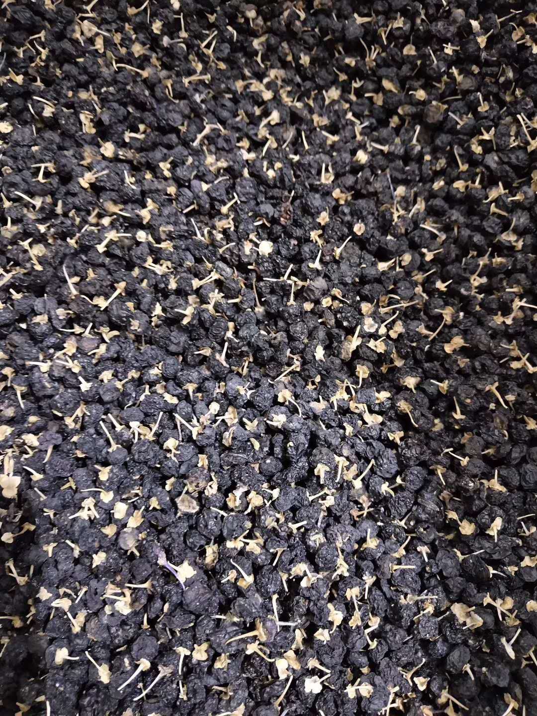 微信圖片_20190619154829