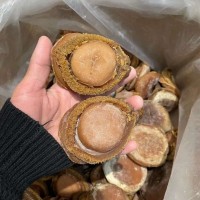 【圣泓明】批發(fā)南非鮑魚淡干干貨