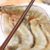 國產大蝦 海鮮水產 2斤裝生鮮凍品冷凍南美白對蝦青蝦基圍蝦批發(fā)