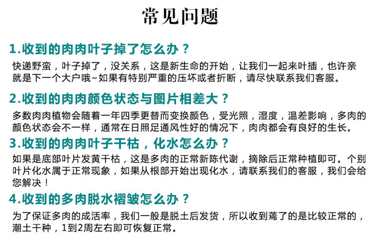 多肉詳細(xì)0.11