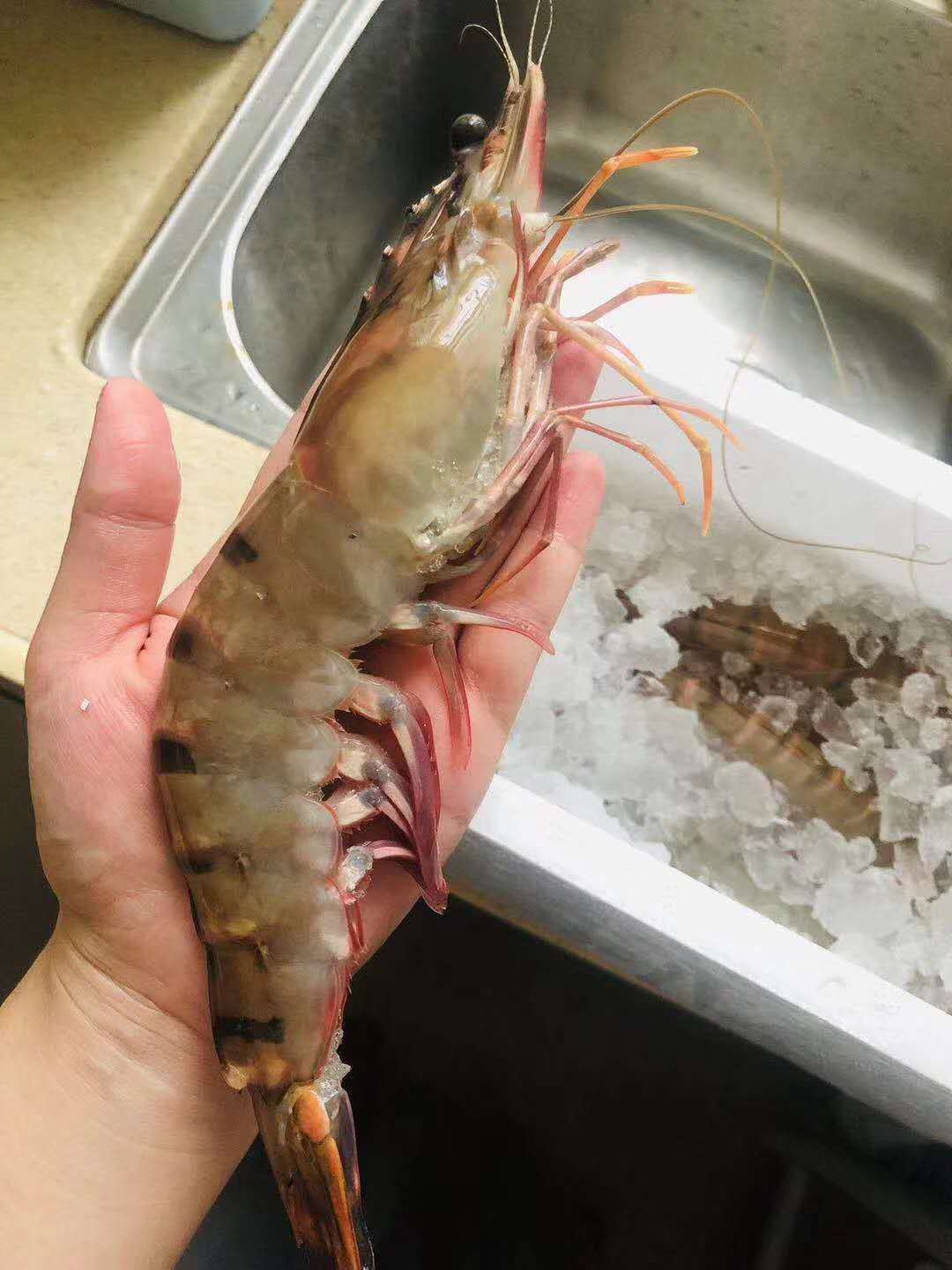 微信圖片_20200411111840