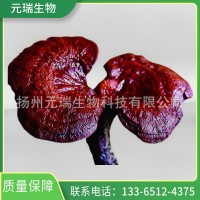 靈芝多糖 靈芝三萜 現(xiàn)貨供應(yīng) 靈芝提取物中草藥提取物靈芝孢子粉