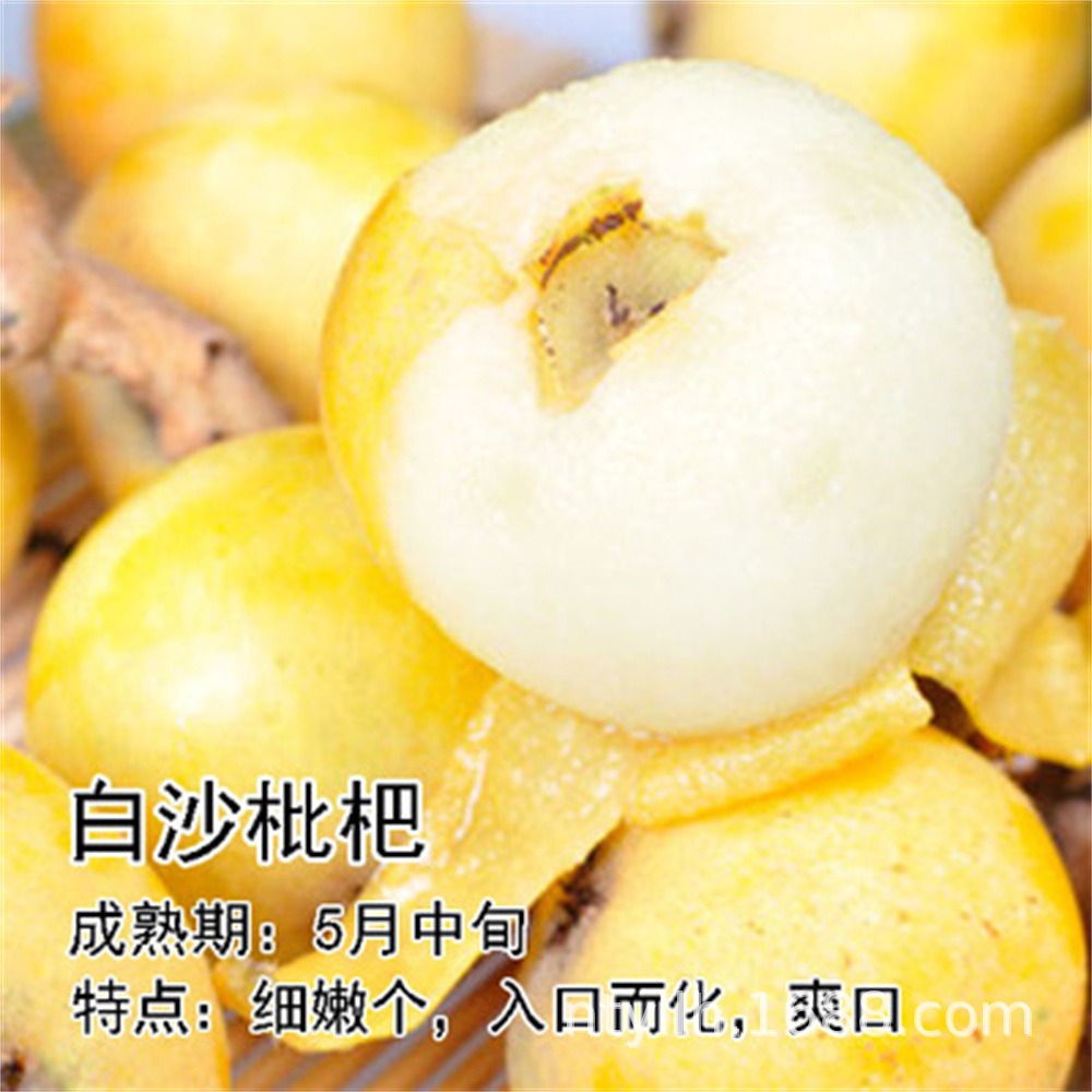 O1CN01I1tSAY1i0nzZha6fi_!!3157