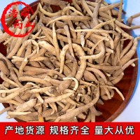 產地貨源 批發(fā)中藥材太子參 新貨太子參 各種規(guī)格 常年供應大貨