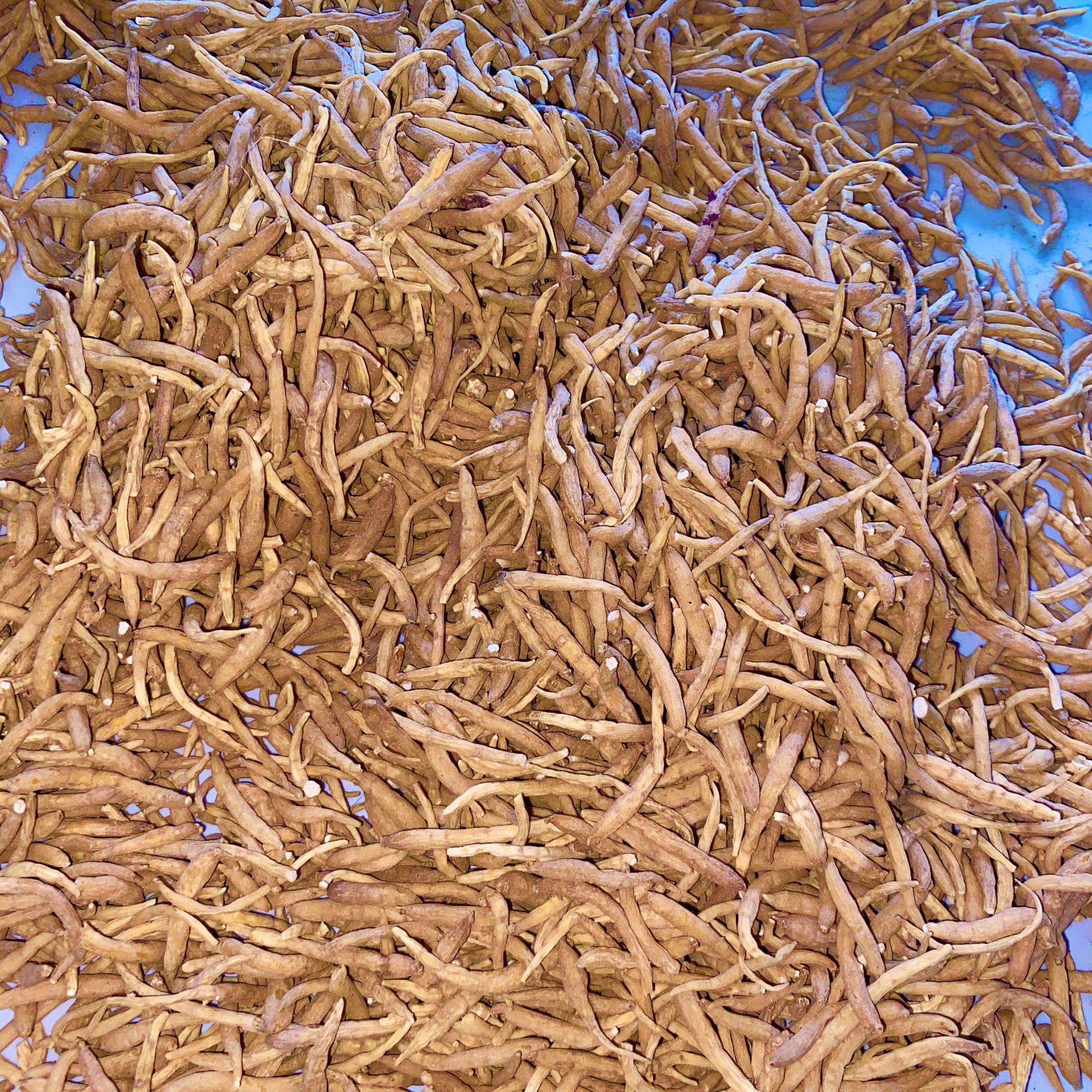 微信圖片_202009222140294