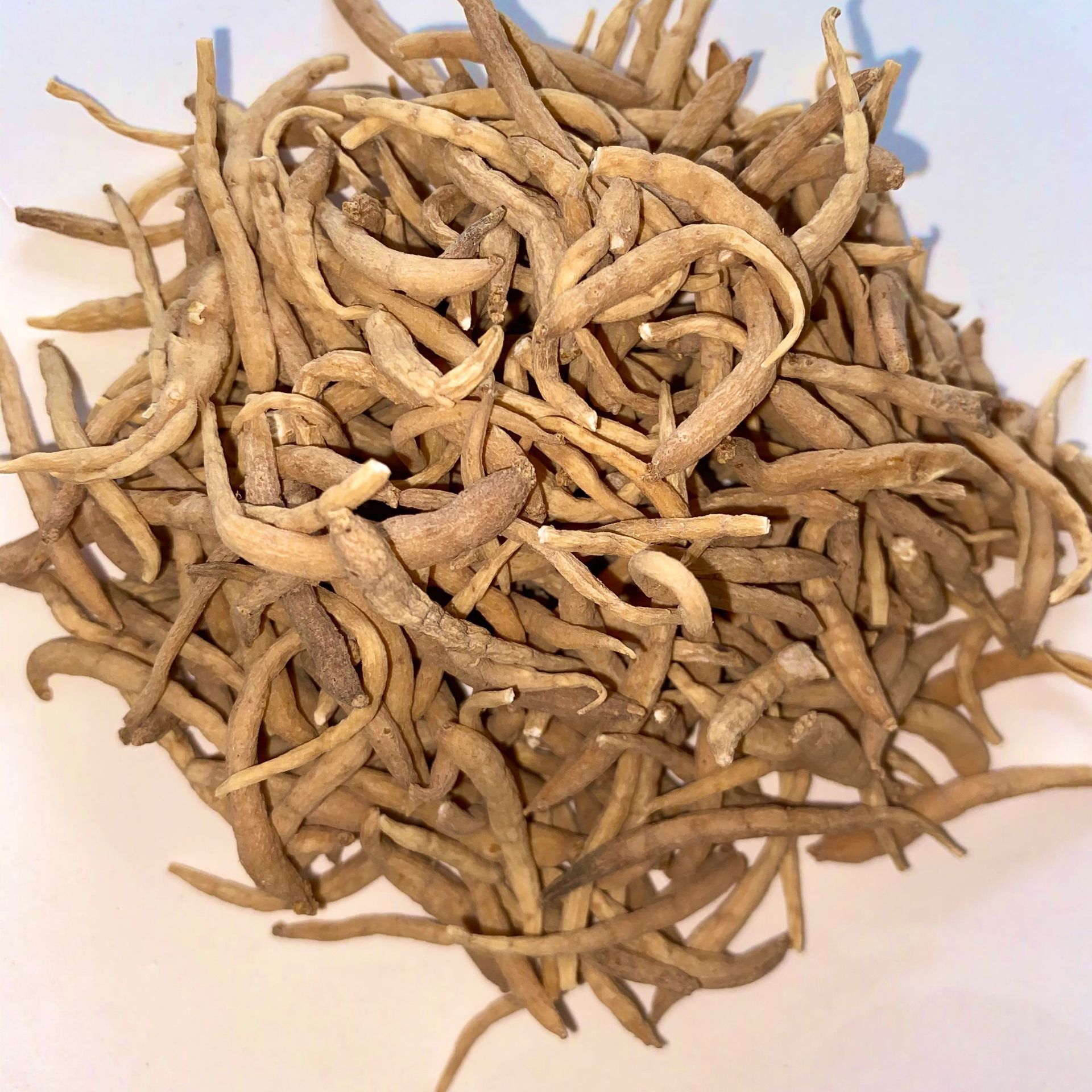 微信圖片_202009222140293