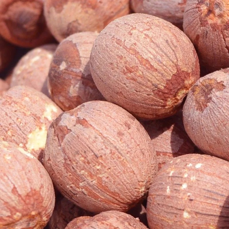 微信圖片_20210720220257