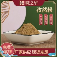 孜然粉廠家供應椒鹽烤肉料裝烤串料撒粉羊肉串燒烤料孜然粉