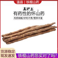 鐵棍山藥河南焦作壚土鐵棍山藥產地批發(fā)非淮山藥一件代發(fā)懷 山藥