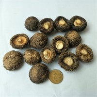 產(chǎn)地直銷(xiāo)小香菇 香信菇 2022農(nóng)家新貨250g 食用菌金錢(qián)菇 味香