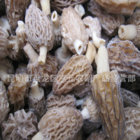 羊肚菌 冷凍野生羊肚菌 速凍羊肚菌 凍品批發(fā)