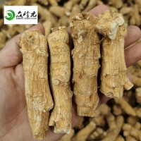 眾珍元 西洋參30克左右大粒頭 中藥材批發(fā) 西洋參批發(fā) 一件代發(fā)