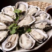 廠家直供1斤5~8個(gè)大生蠔 東山島海鮮牡蠣肉乳山生蠔批發(fā)10斤起批