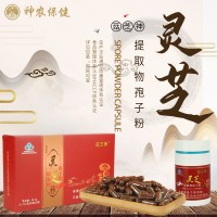 廠家供應(yīng)瑞森牌靈芝提取物孢子粉膠囊 靈芝孢子粉 菇芝神