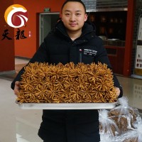 西藏冬蟲夏草4000條 多規(guī)格綜合接鏈 單品10克起售