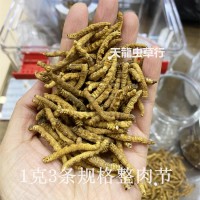 冬蟲夏草 西藏 不帶尾巴斷蟲草 肉節(jié)