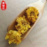 產(chǎn)地直供500g黃山貢菊泡茶泡水安徽婺源皇菊黃貢菊花量大從優(yōu)