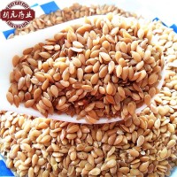 中藥材批發(fā)黃金亞麻子熟亞麻籽亞麻籽仁一件代發(fā)產地貨源