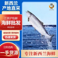 新西蘭冰鮮三文魚大鱗大麻哈魚刺身 帝王鮭整箱約4條裝 預售
