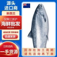 新西蘭冰鮮大鱗大麻哈魚三文魚刺身帝王鮭整條8-9斤即食預售