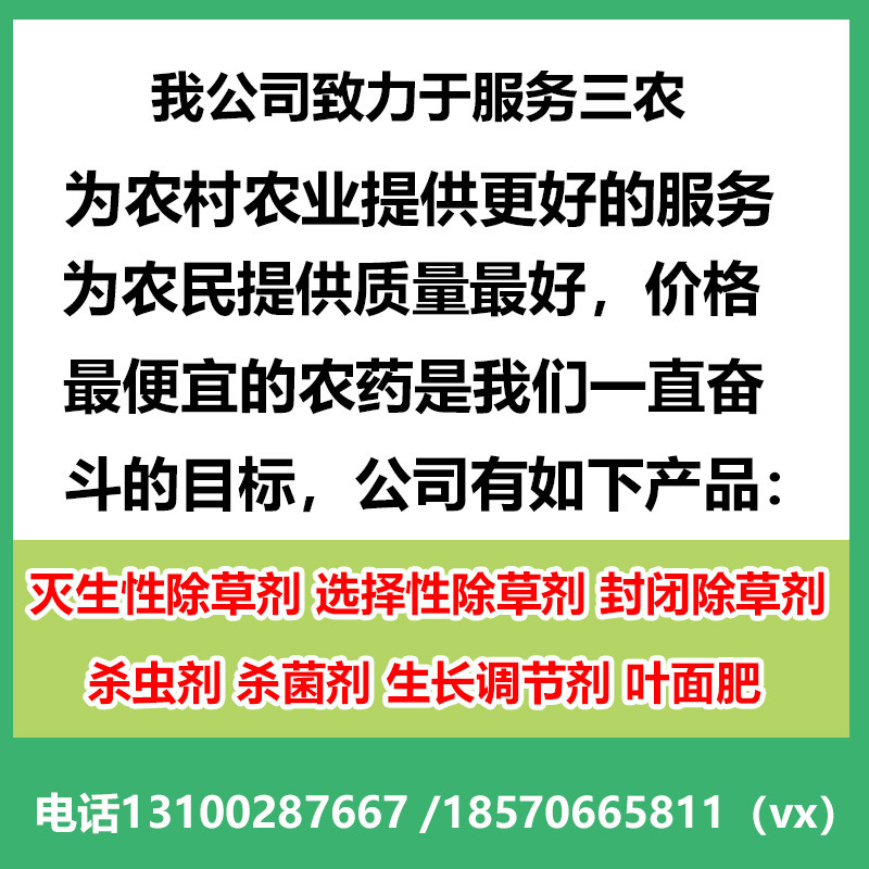 公司簡介圖