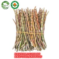 霍山新鮮有機鐵皮石斛 傳統(tǒng)滋補品 石斛鮮條 4年山里富硒鐵皮石斛