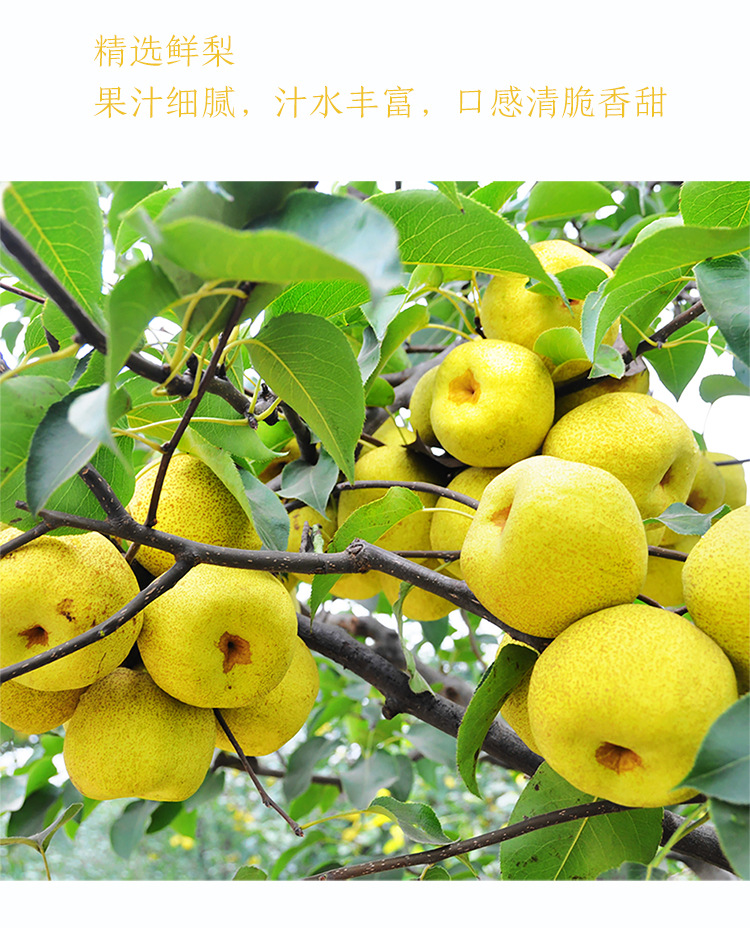 梨膏產(chǎn)品詳情頁-1228_04