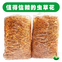 蟲草花1kg裝產(chǎn)地批發(fā)蛹蟲草新會(huì)北蟲草金蟲草排草