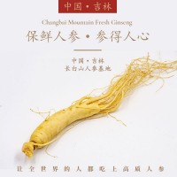 長白山新鮮人參批發(fā)廠家直銷東北土特產(chǎn)保鮮參煲湯火鍋地?cái)偱菥茀?/></a>
<ul><li><a href=