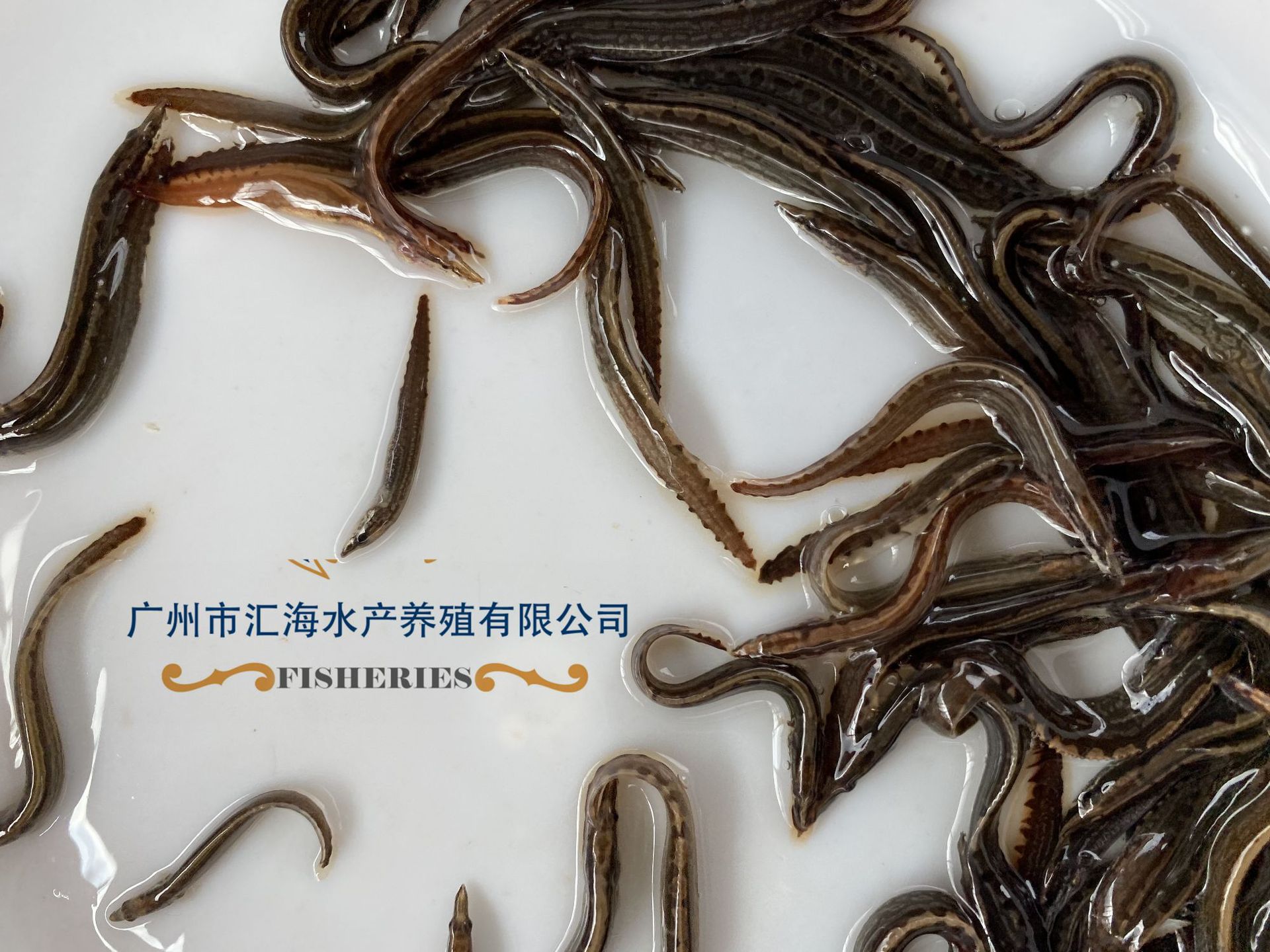 微信圖片_20200624102156_副本