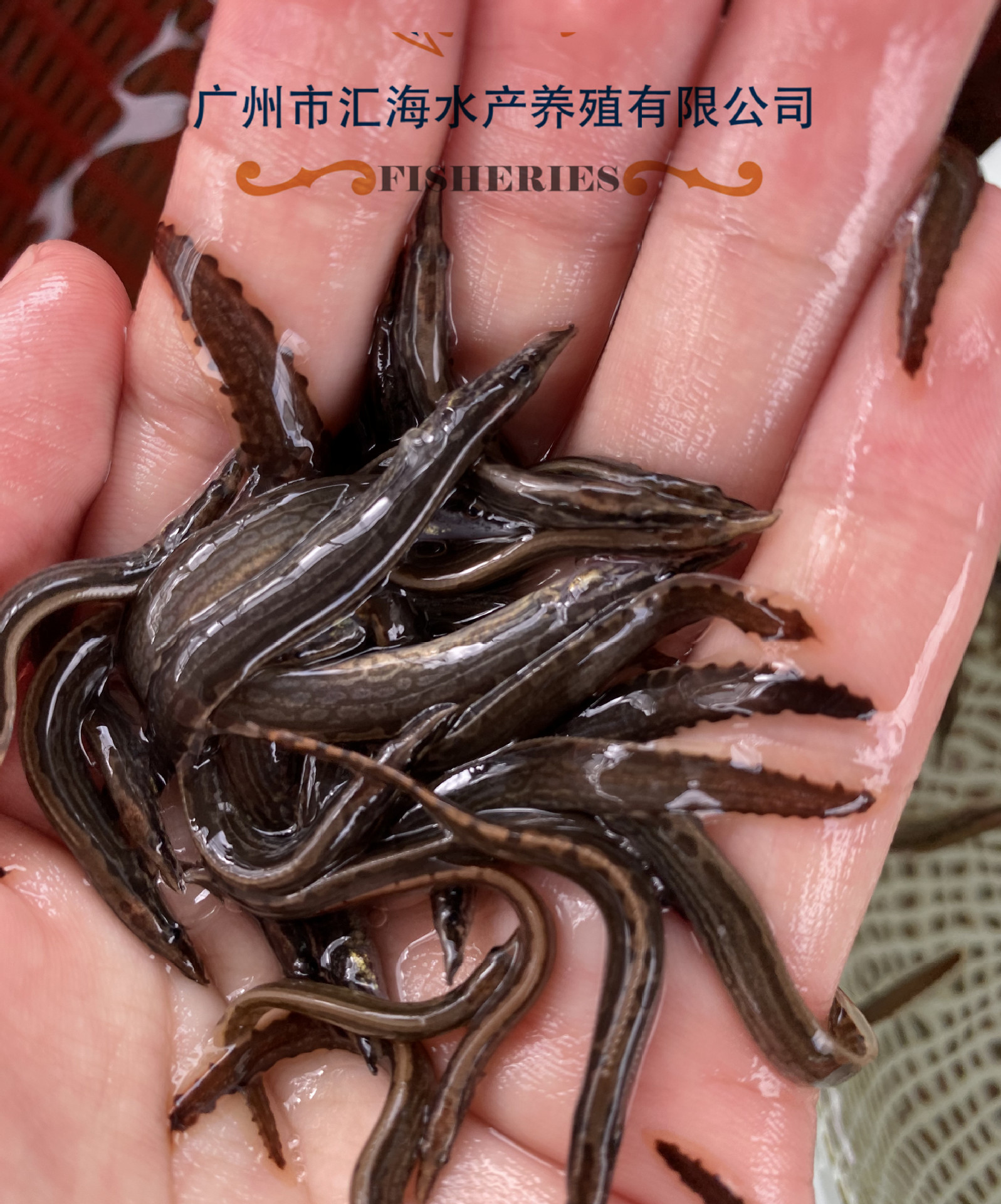 微信圖片_20200624102219_副本