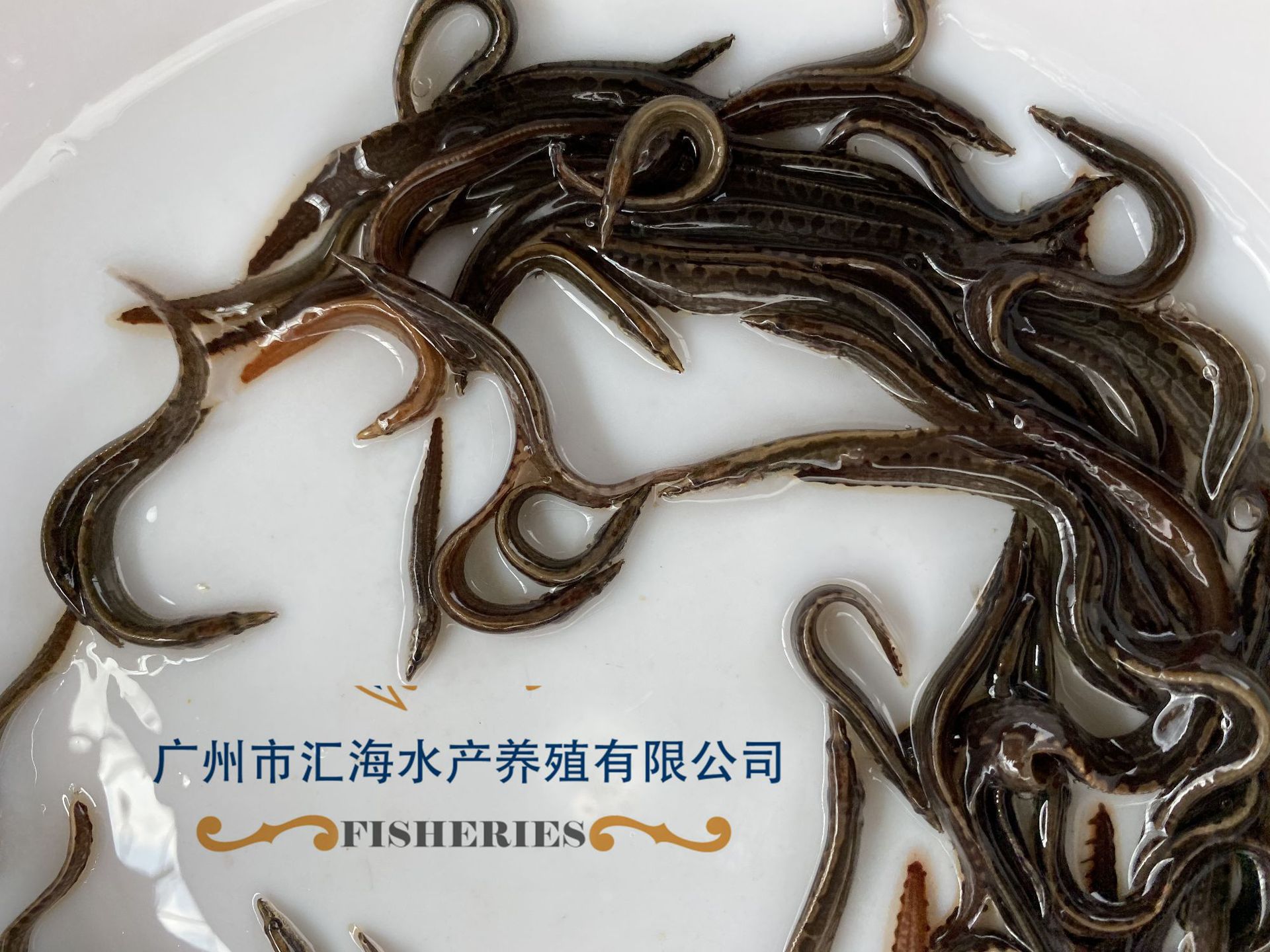 微信圖片_20200624102204_副本