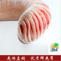 吉林鹿場(chǎng)直銷(xiāo)新鮮鹿茸二杠鹿茸一件代發(fā)