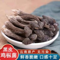 云南高原地黑皮雞樅食用菌干貨產(chǎn)地供應(yīng)淘寶抖音代發(fā)貨源廠家銷售