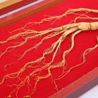 廠家東北人參禮盒 長白山林下山參移山參野山參40木質(zhì)禮盒