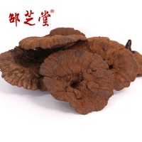 產(chǎn)地供應(yīng)仿野椴木紫靈芝黑芝切片帶草附孢子粉不苦野外種植250g