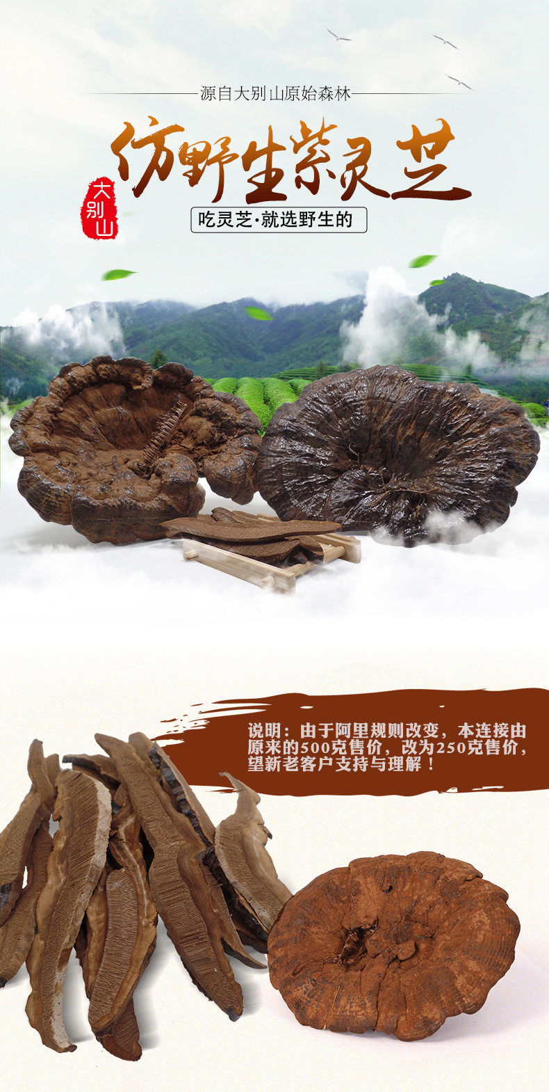 阿里里用仿野生黑靈芝圖1