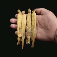 高麗參無糖6年根紅參整支東北特產(chǎn)長白山人參散裝別直參切片禮盒