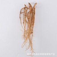 大量批發(fā)石參根 石參莖 參南干參 虎尾輪 煲湯中草藥
