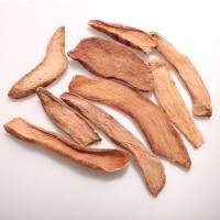 蓉天下原產(chǎn)地批發(fā)內(nèi)蒙古鎖陽 阿拉善金鎖陽鮮干片切片批發(fā)500g