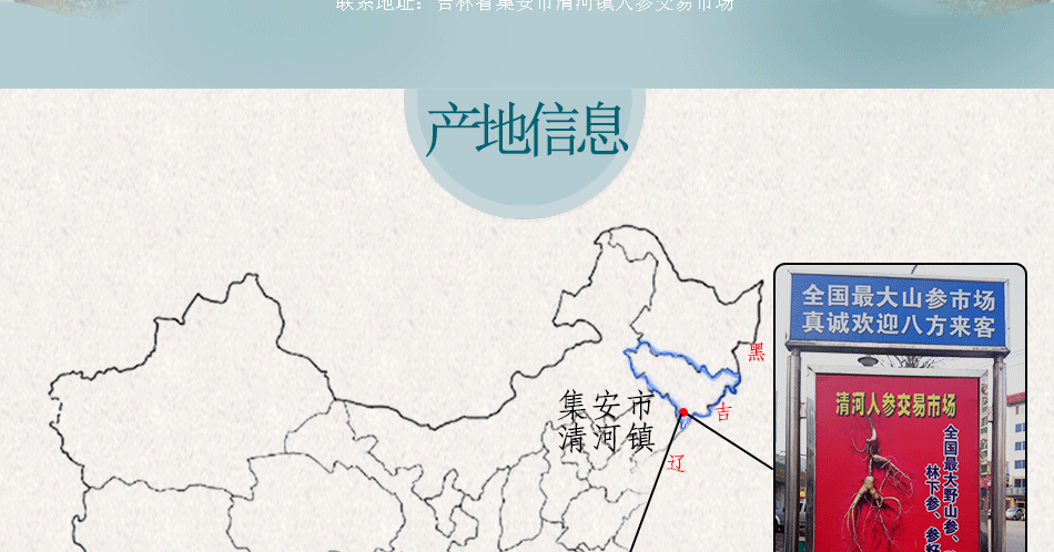 殘150年以上野山參_02