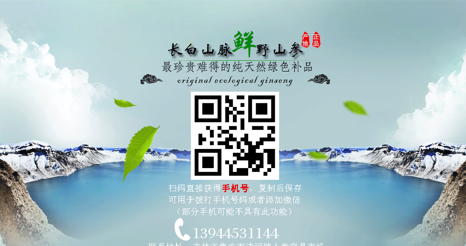 殘150年以上野山參_01