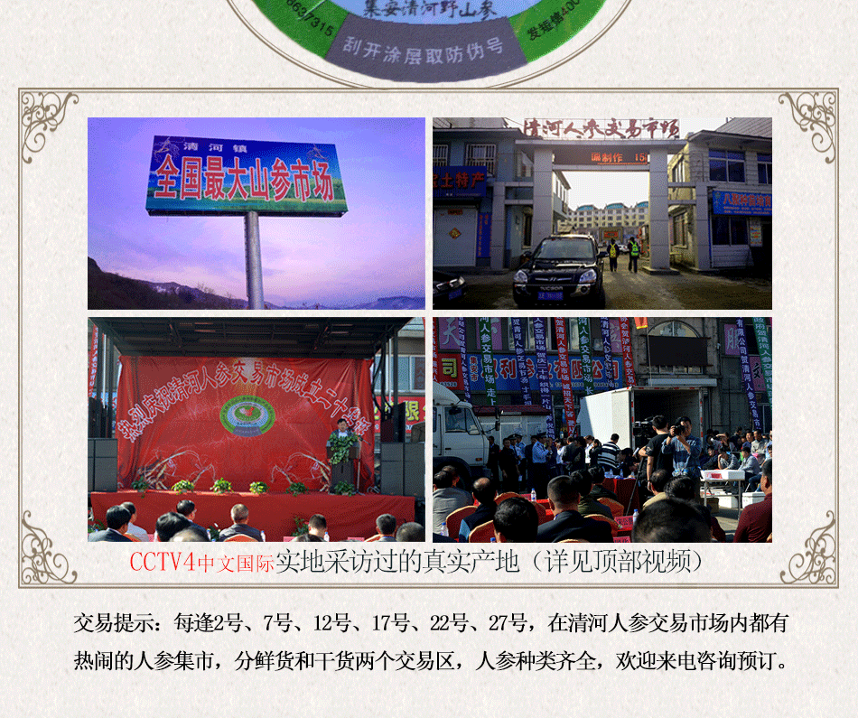 殘150年以上野山參_04