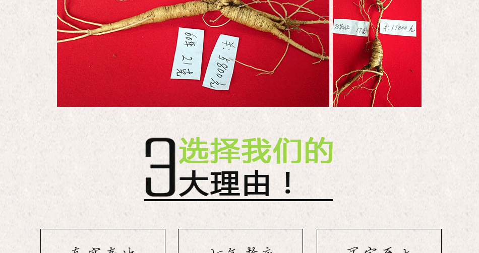 殘150年以上野山參_15