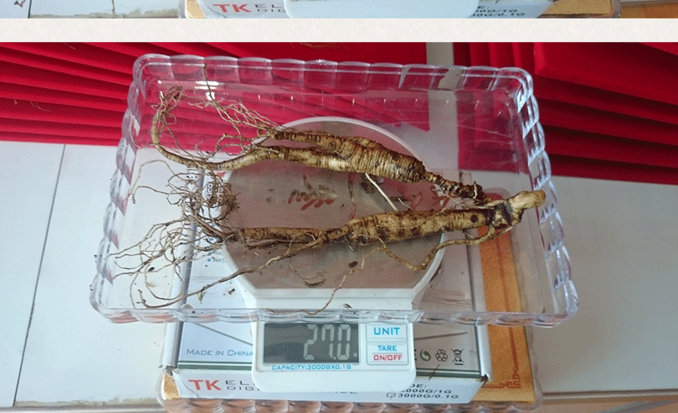 產(chǎn)品展示_04