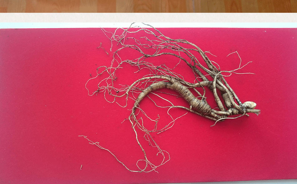 產(chǎn)品展示_07