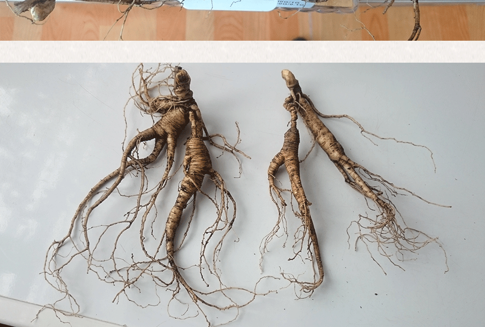 產(chǎn)品展示_02