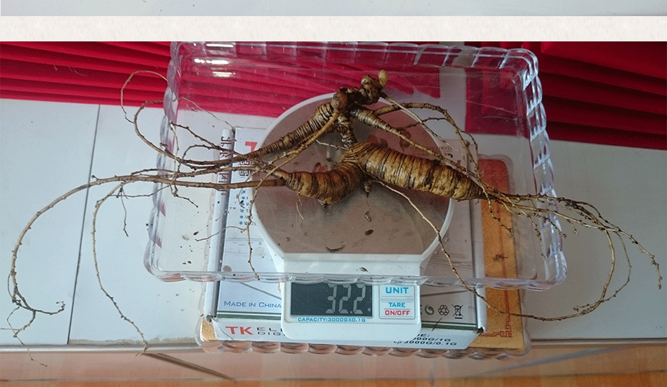 產(chǎn)品展示_06