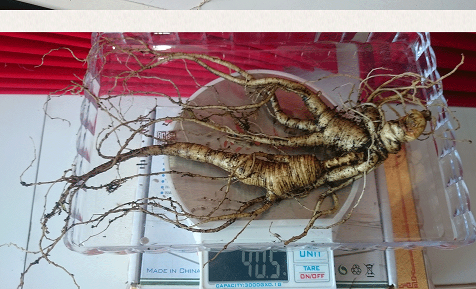 產(chǎn)品展示_03